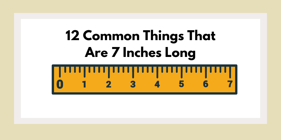 12 Common Things That Are 7 Inches Long