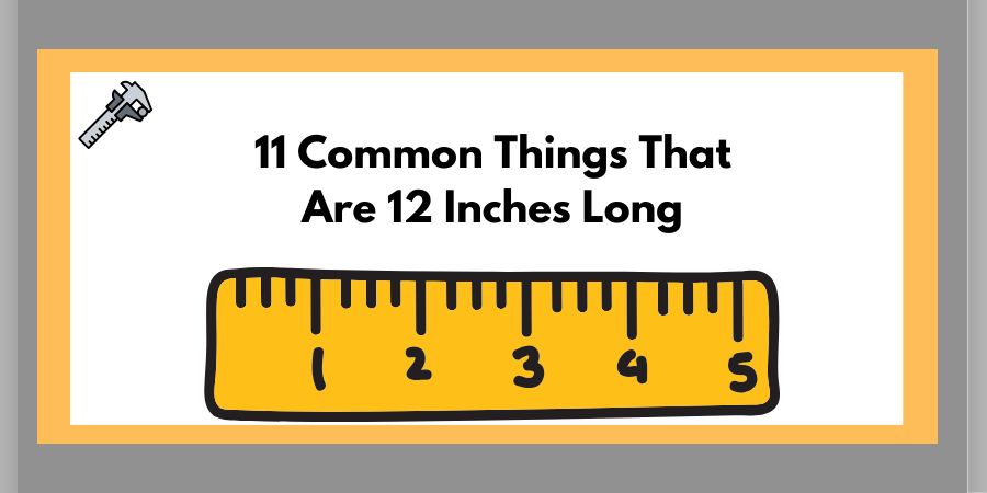 11 Common Things That Are 12 Inches Long