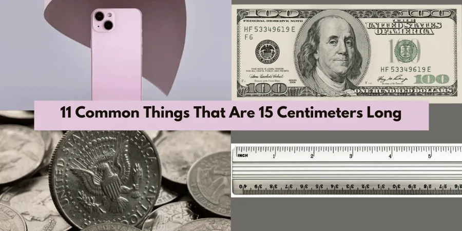 11 Common Things That Are 15 Centimeters Long