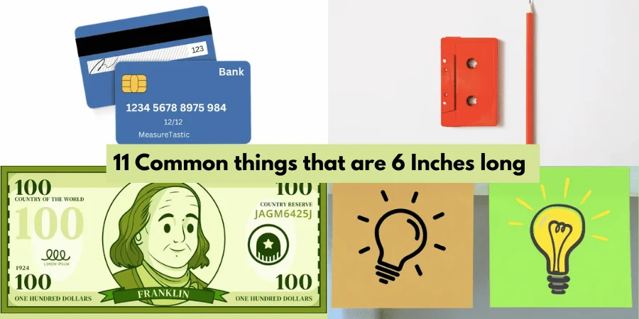 11 Common things that are 6 Inches long