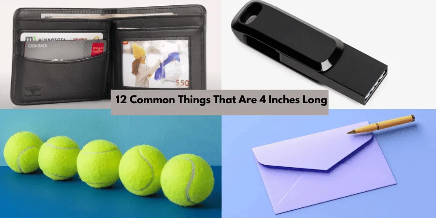 12 Common Things That Are 4 Inches Long