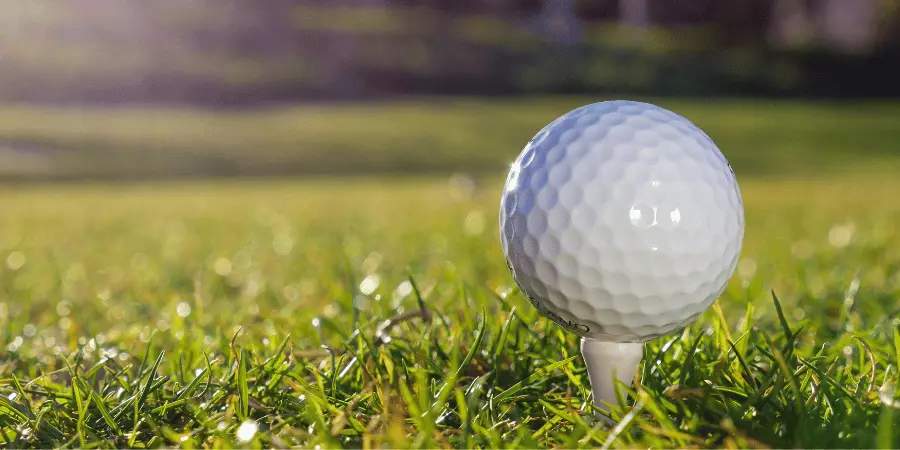 12 Everyday Things That Are 2 Centimeters Long-Golf Ball