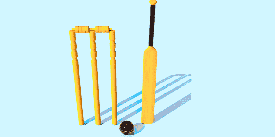 12 Common things that are 1 meter long-Cricket Bat