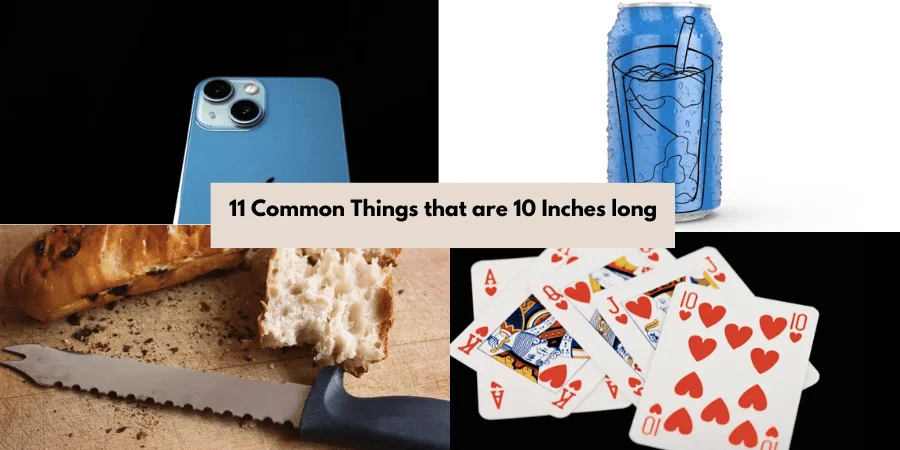 11 Common Things that are 10 Inches long