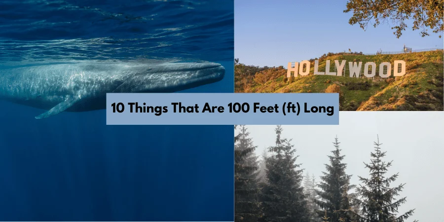 14 Things That Are 100 Feet (ft) Long