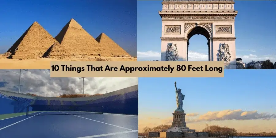 10 Things That Are Approximately 80 Feet Long