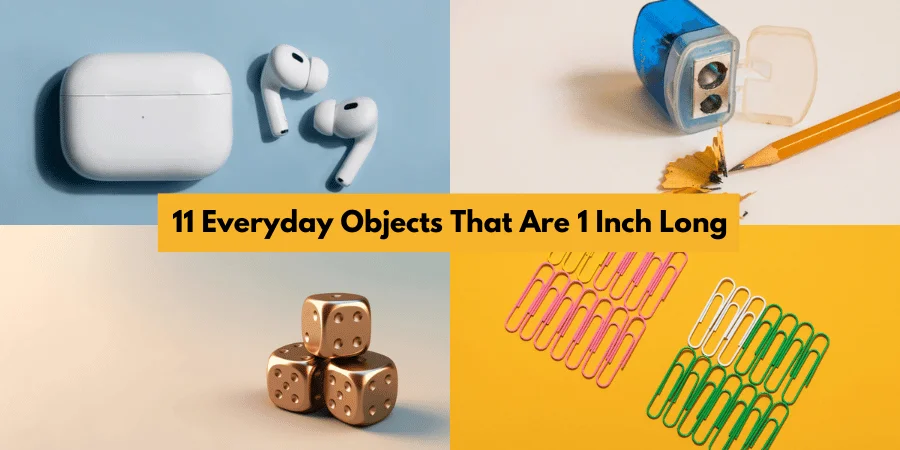 11 Everyday Objects That Are 1 Inch Long