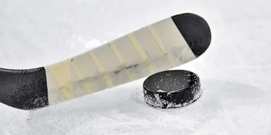 11 Everyday Objects That Are 1 Inch Long-Hockey Puck