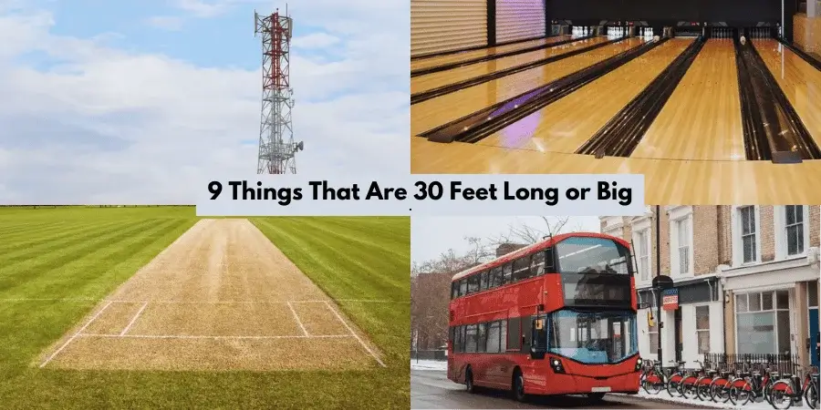 9 Things That Are 30 Feet Long or Big