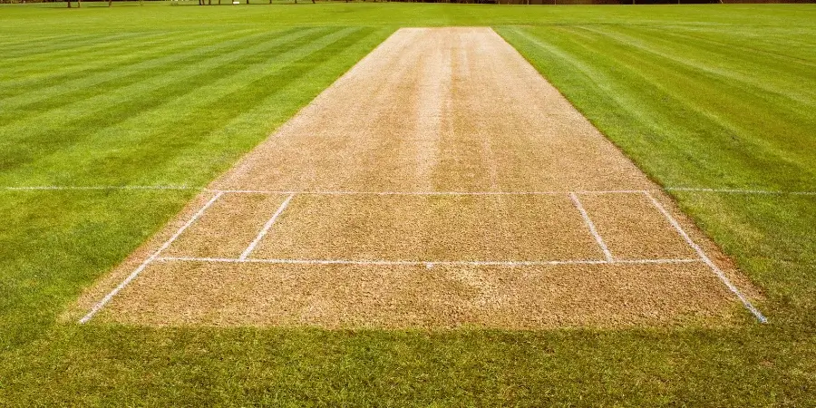 9 Things That Are 30 Feet Long or Big-Half of the Cricket Pitch