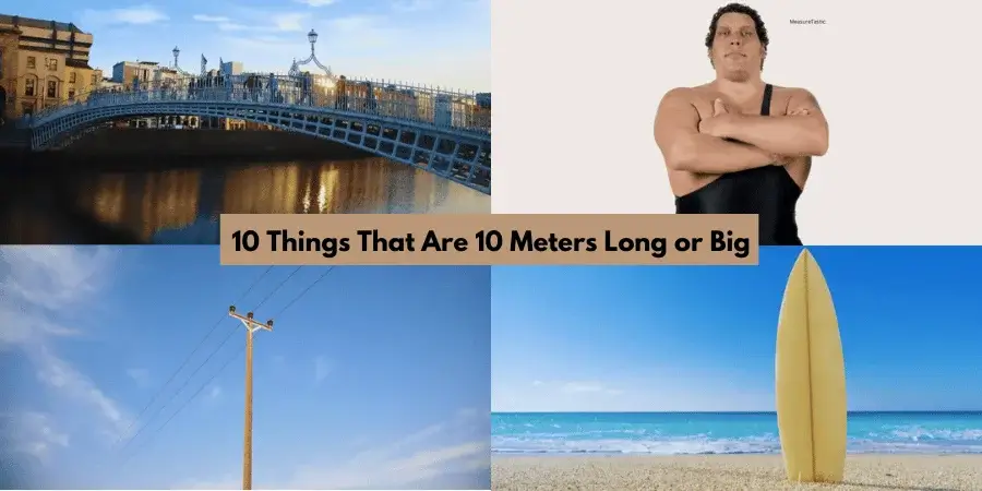 10 Things That Are 10 Meters Long or Big