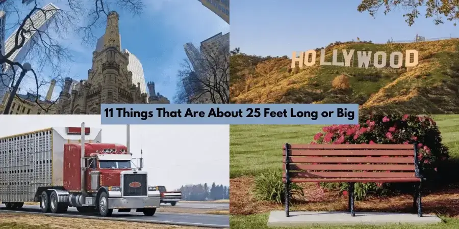 11 Things That Are About 25 Feet Long or Big