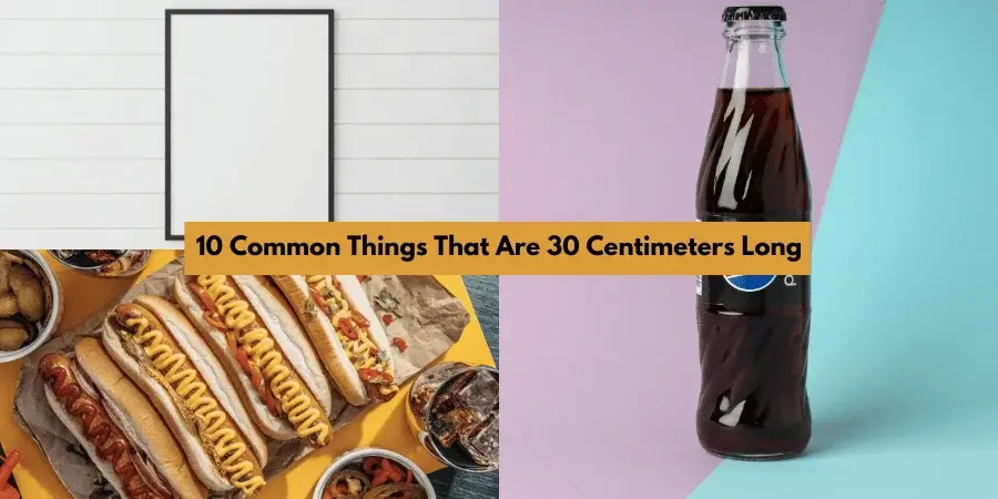 10 Common Things That Are 30 Centimeters Long