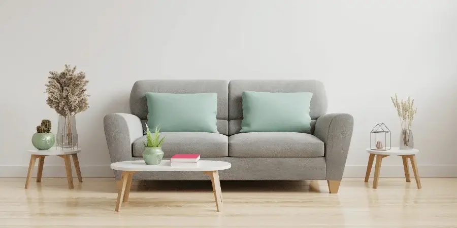  11 Common Things That Are 5 Feet Long-Two-seater Couch