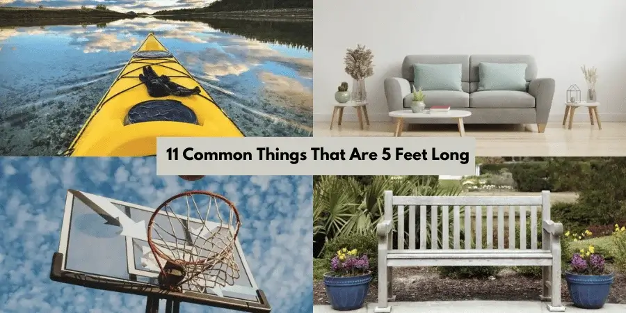  11 Common Things That Are 5 Feet Long