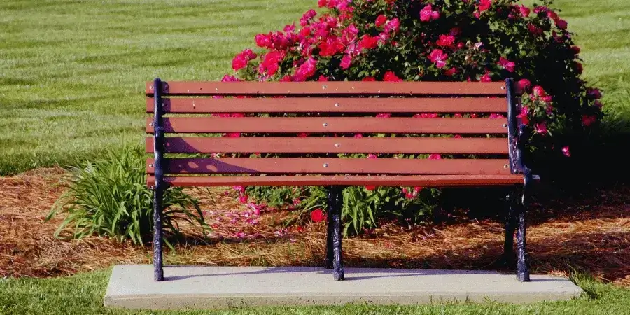 11 Things That Are About 25 Feet Long or Big-Five Park Benches