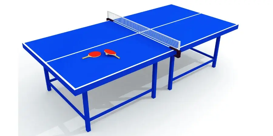 10 Things and Animals That Are 10 Feet Long-Ping Pong Table