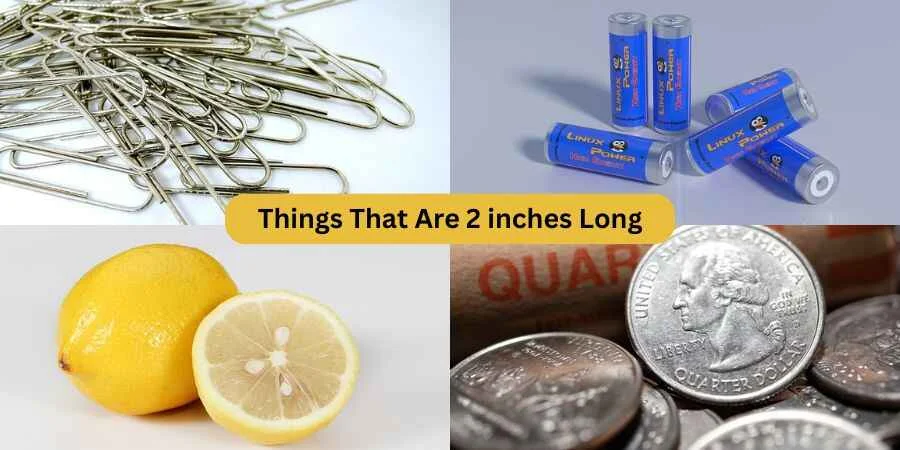 things that are 2 inches long