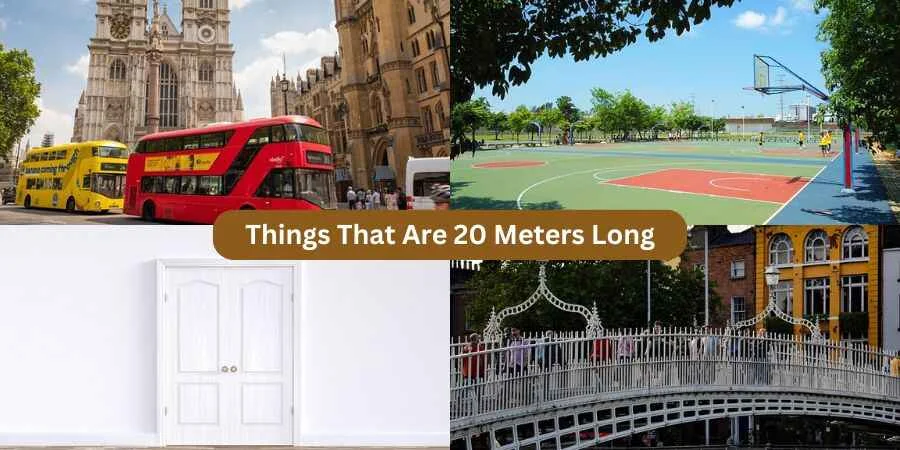 things that are 20 meters long