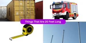 Things That Are 20 Feet Long