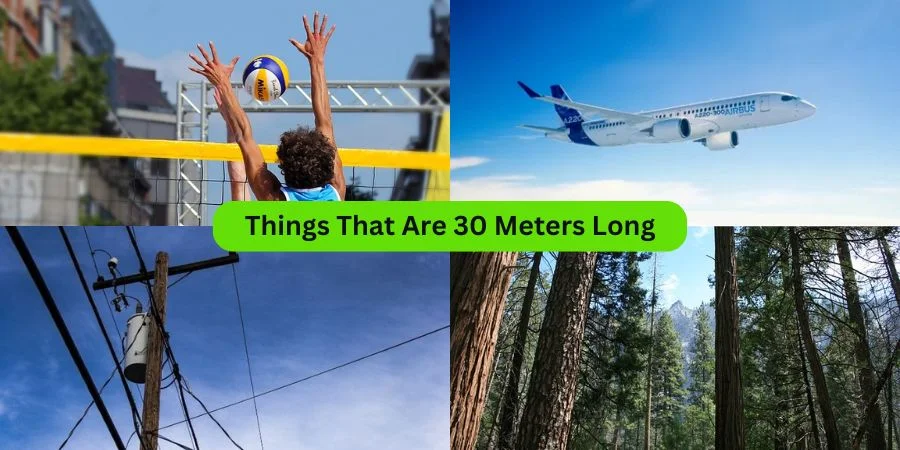 Things That Are 30 Meters Long