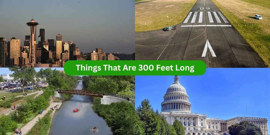 things that are 300 feet long