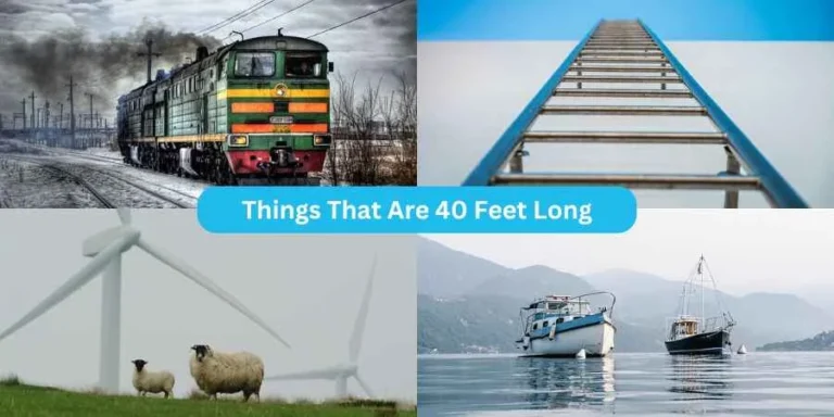 Things That Are 40 Feet Long