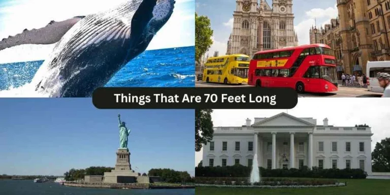 things that are 70 feet long