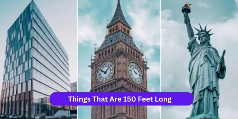 Things That Are 150 Feet Long