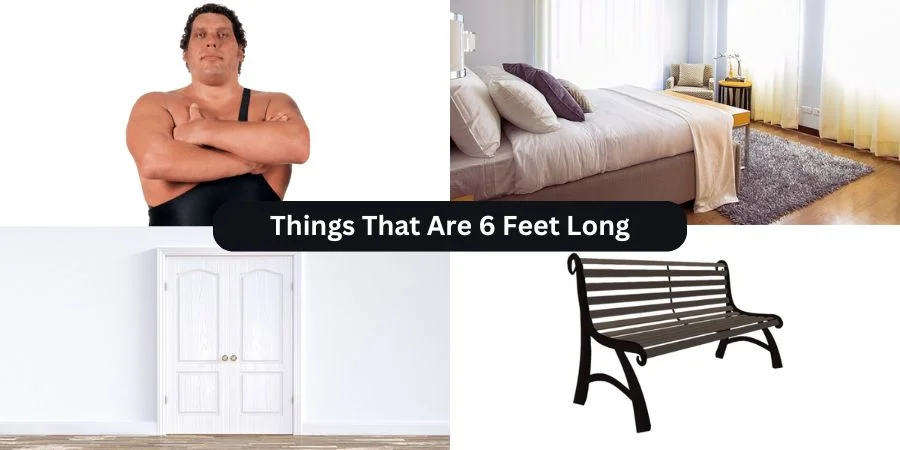 Things That Are 6 Feet Long