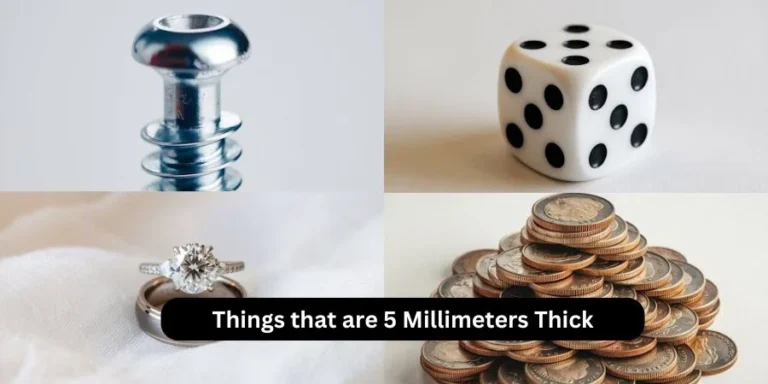 Things that are 5 millimeters (mm) thick