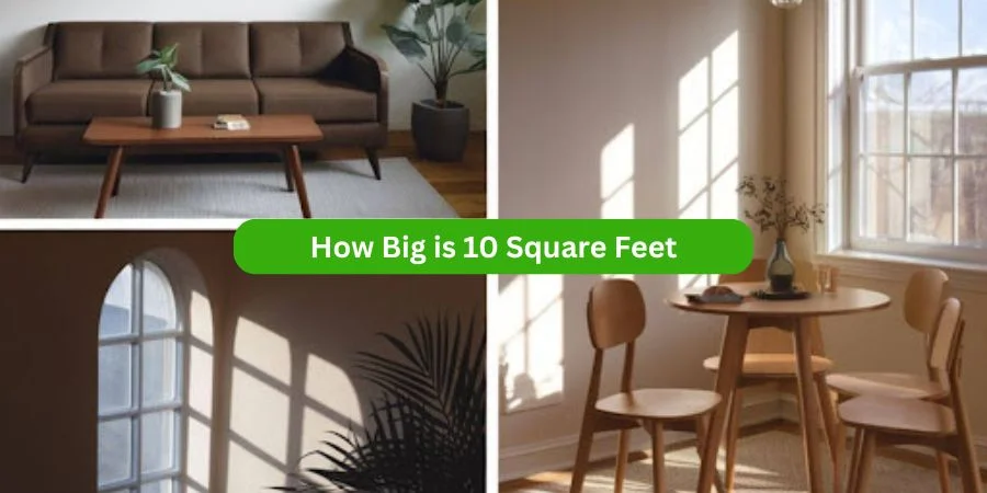 10 Square Feet