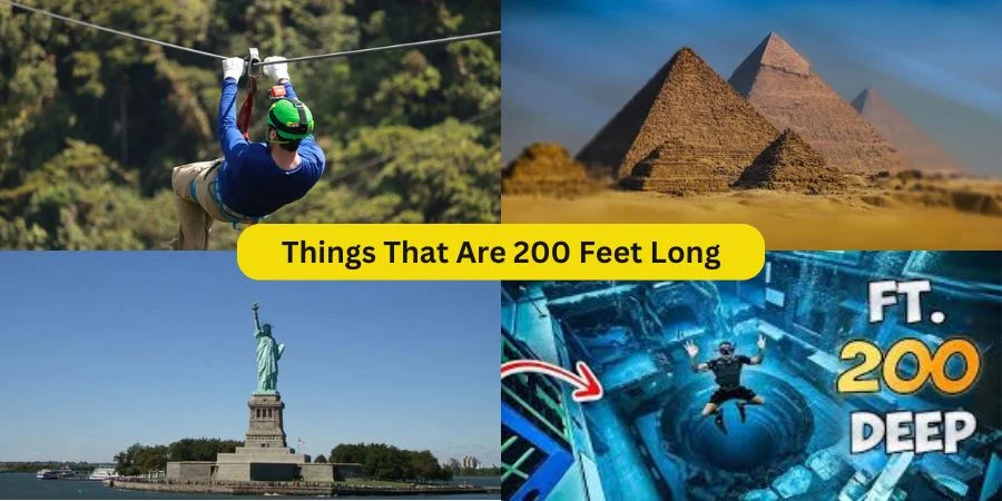 Things That Are 200 Feet Long