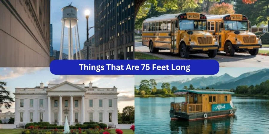 75 feet long
